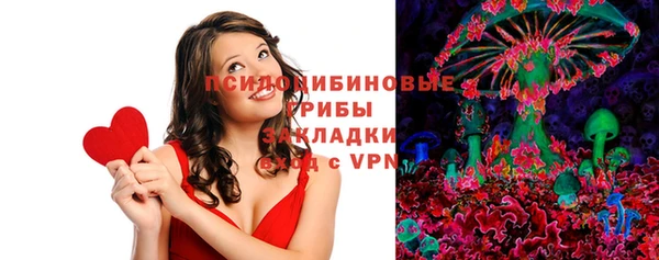 молекула духа Алексеевка