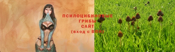 альфа пвп Рославль