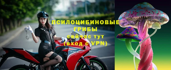 молекула духа Алексеевка
