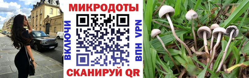 закладки  Заволжск  MEGA ссылка  Псилоцибиновые грибы Cubensis 