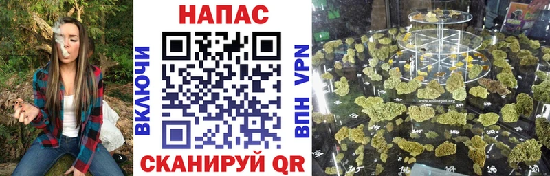 цена   Заволжск  mega ссылки  Бошки марихуана план 
